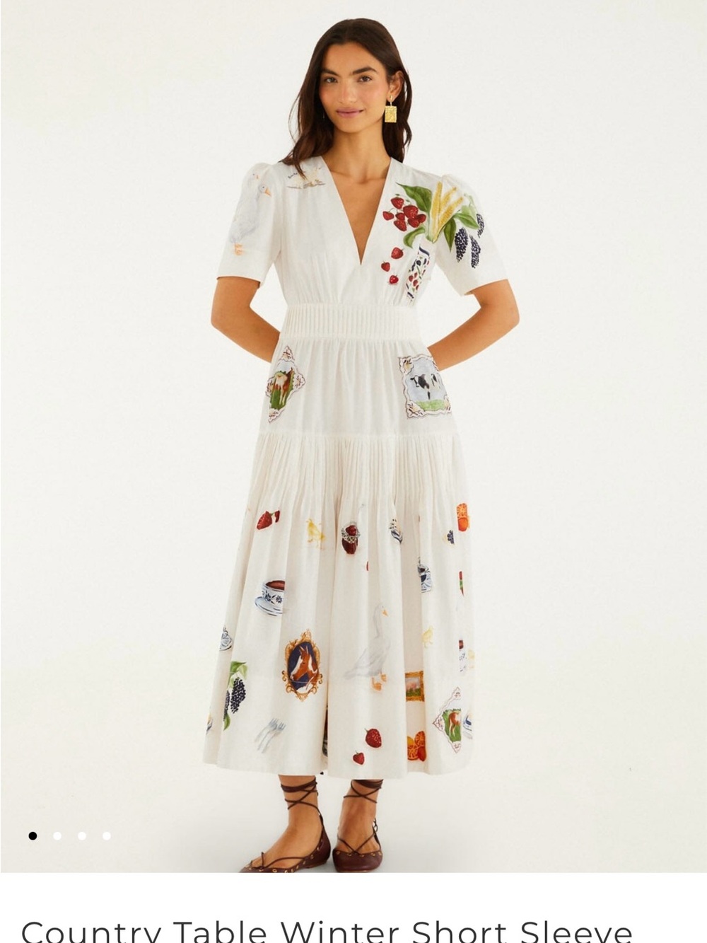 Farm Rio Country Table Winter Short Sleeve Midi Dress size S